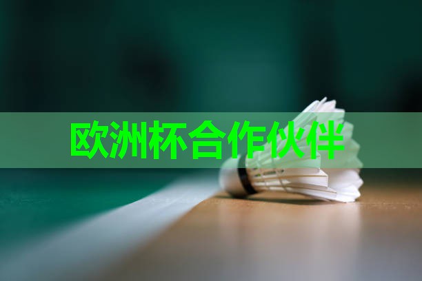 ??2024歐洲杯集團(tuán)??：健身室內(nèi)劃船