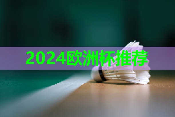 2024歐洲杯公司：社區(qū)健身器材橢圓機